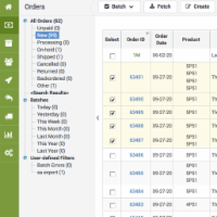 How Batch Shipping Improves Efficiency and Reduces Costs